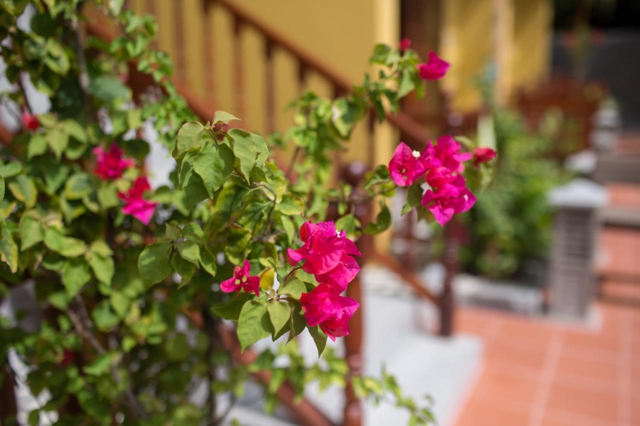 An Sen Boutique Villas Hoi An Exterior photo